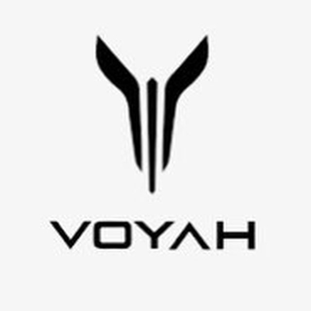 Telegram group Voyah Chat